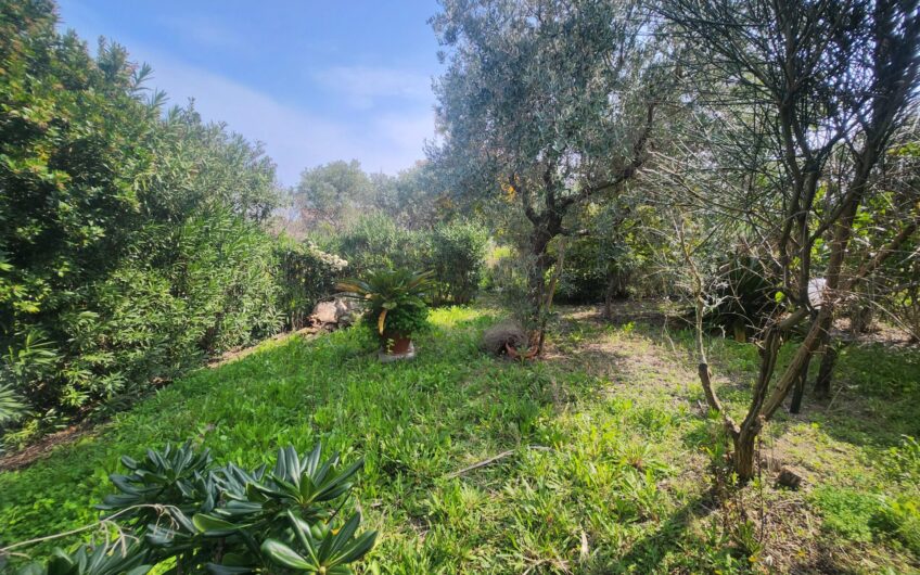 TERMOLI: Villa tri-familiare a colle della torre
