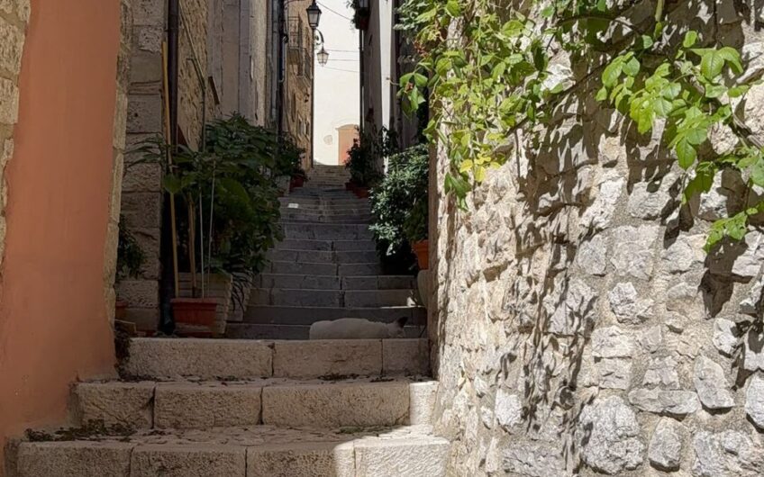 🏡 Appartamento nel Cuore di Ferrazzano (CB) | Ottima Opportunità anche per Investimento